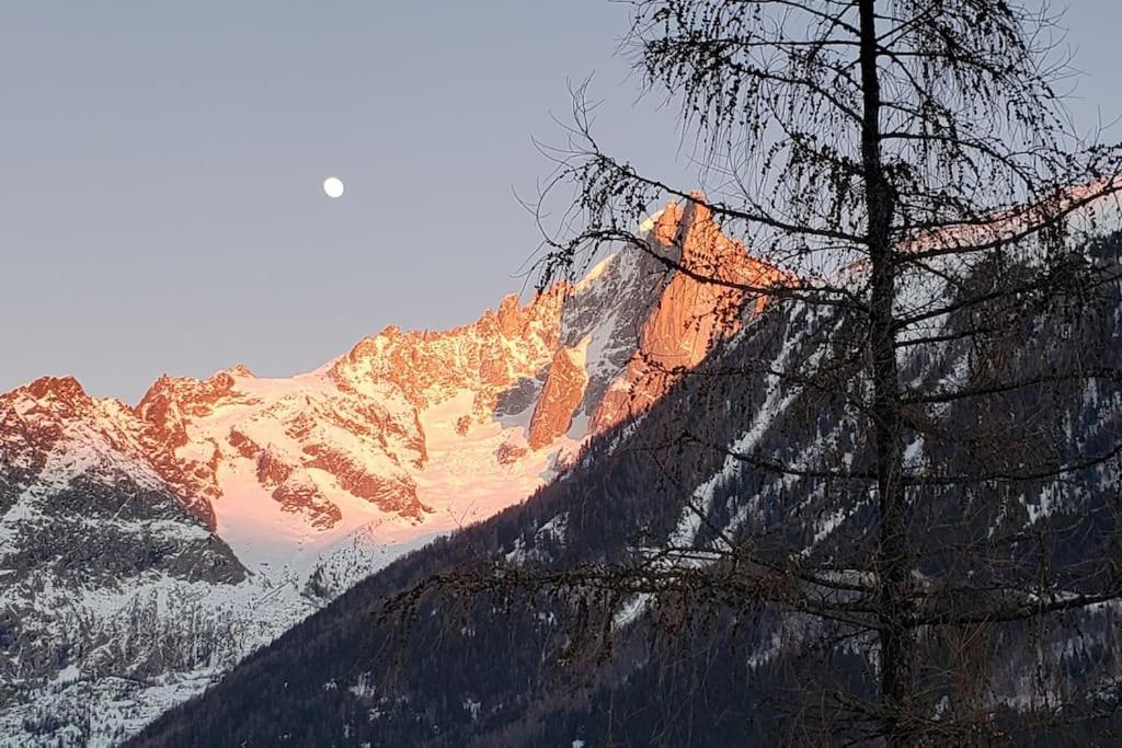 Bel Appartement Entier En Style Chalet A Chamonix Buitenkant foto